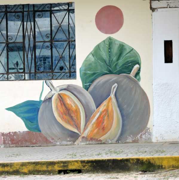 Перу, в натуре! Крайний север, декабрь 2025 – январь 2026