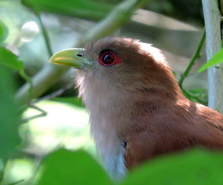 Перу, в натуре! Крайний север, декабрь 2025 – январь 2026