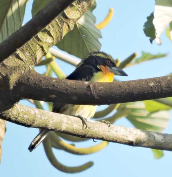 Перу, в натуре! Крайний север, декабрь 2025 – январь 2026