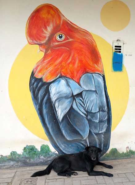 Перу, в натуре! Крайний север, декабрь 2025 – январь 2026