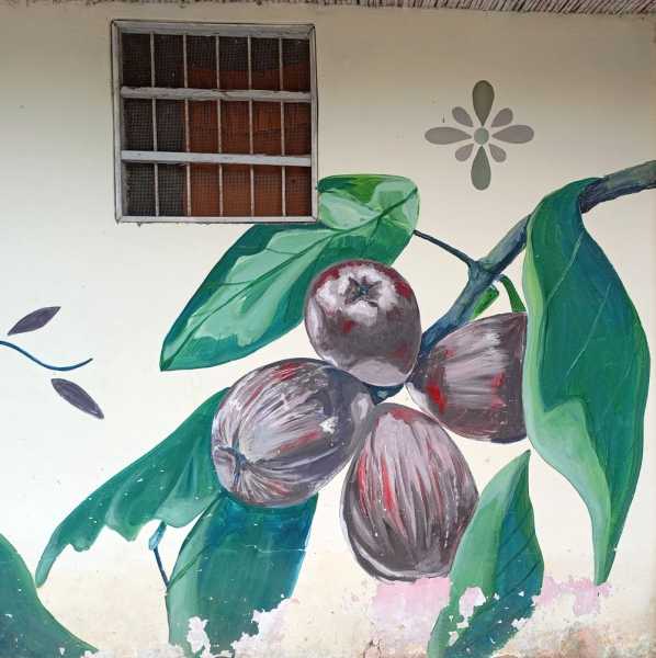 Перу, в натуре! Крайний север, декабрь 2025 – январь 2026