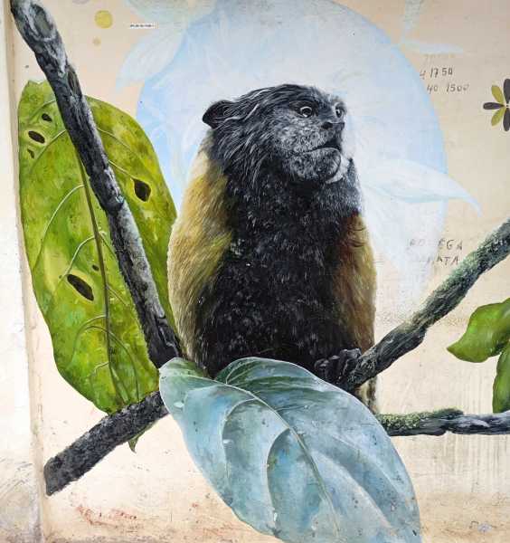 Перу, в натуре! Крайний север, декабрь 2025 – январь 2026