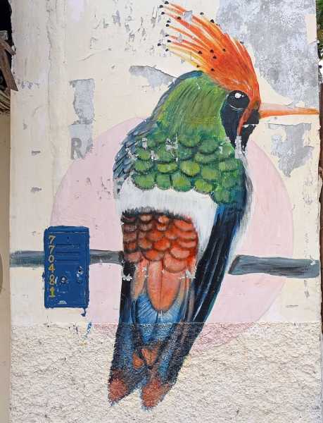 Перу, в натуре! Крайний север, декабрь 2025 – январь 2026