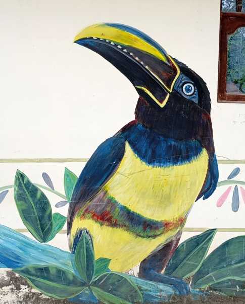 Перу, в натуре! Крайний север, декабрь 2025 – январь 2026