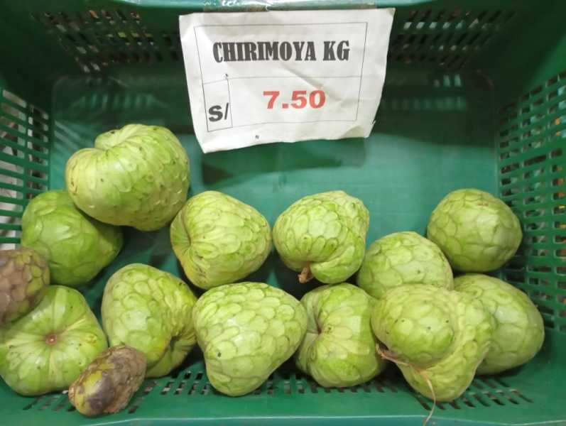 Перу, в натуре! Крайний север, декабрь 2025 – январь 2026