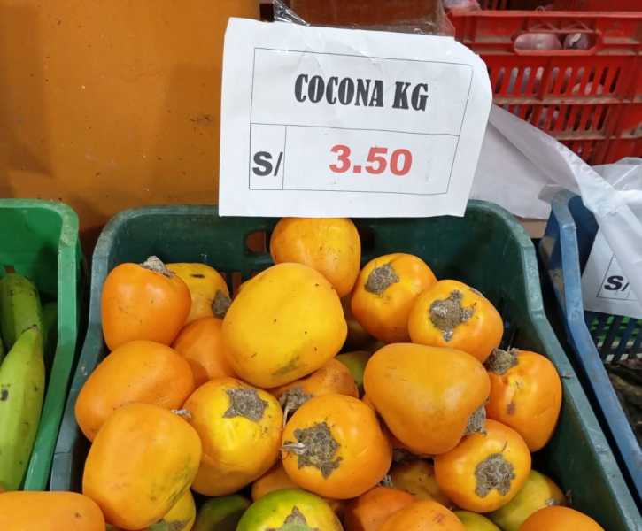 Перу, в натуре! Крайний север, декабрь 2025 – январь 2026