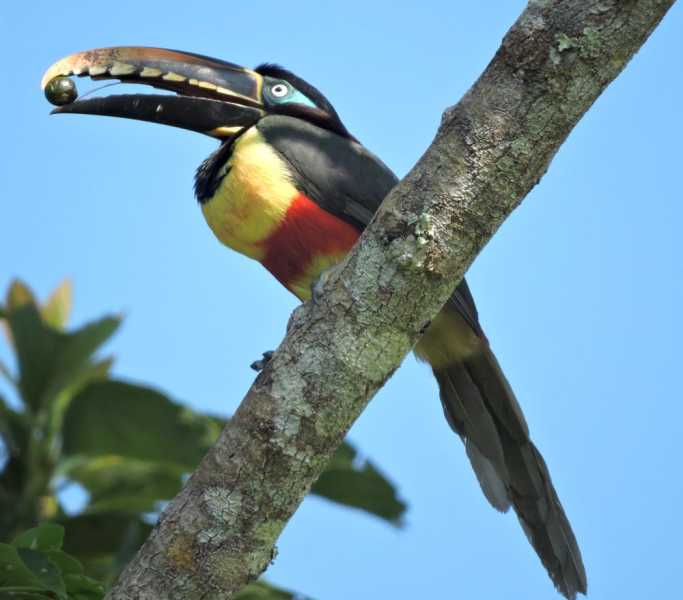 Перу, в натуре! Крайний север, декабрь 2025 – январь 2026