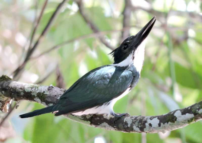 Перу, в натуре! Крайний север, декабрь 2025 – январь 2026