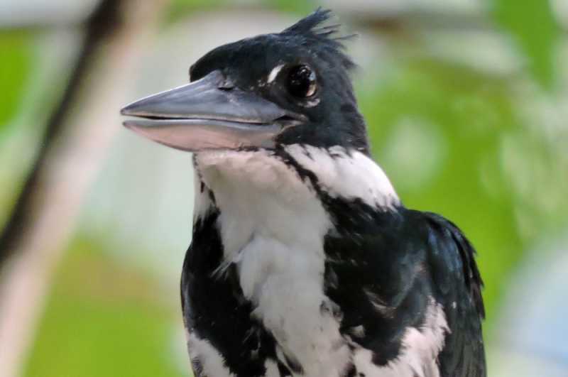 Перу, в натуре! Крайний север, декабрь 2025 – январь 2026