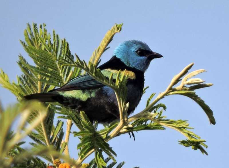 Перу, в натуре! Крайний север, декабрь 2025 – январь 2026