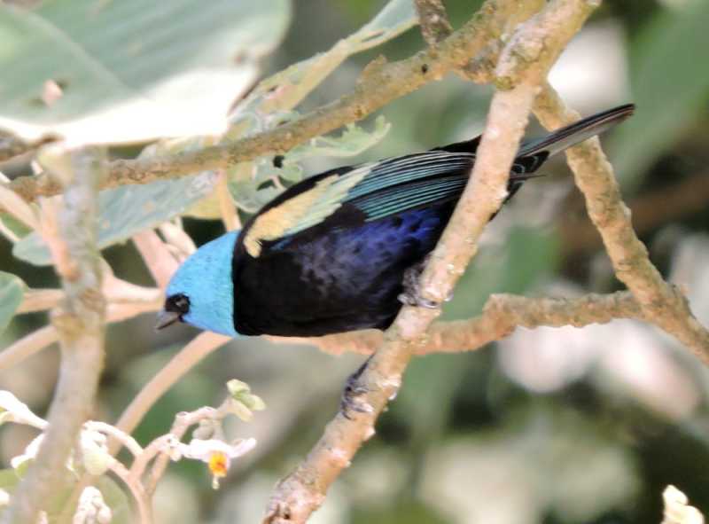 Перу, в натуре! Крайний север, декабрь 2025 – январь 2026