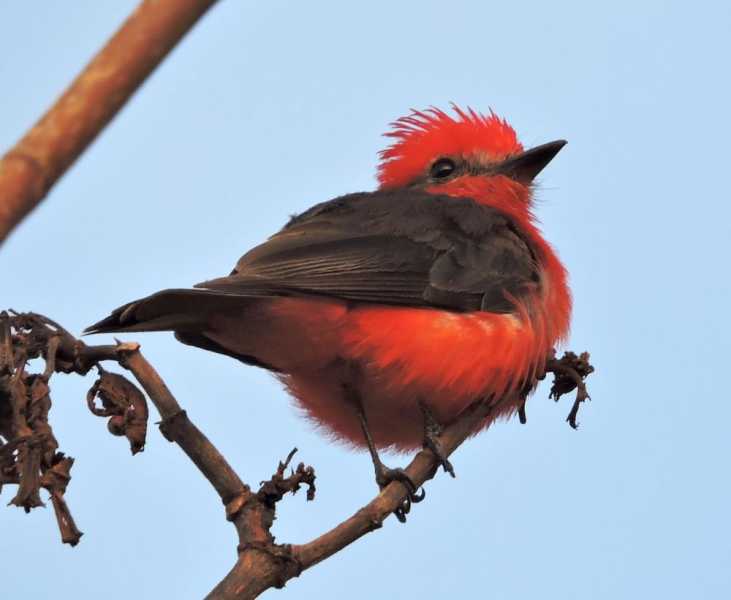 Перу, в натуре! Крайний север, декабрь 2025 – январь 2026