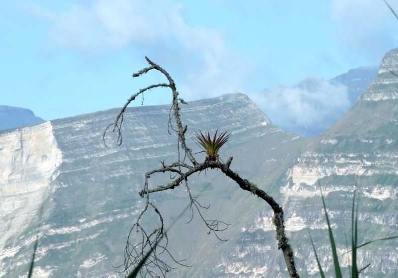 Перу, в натуре! Крайний север, декабрь 2025 – январь 2026