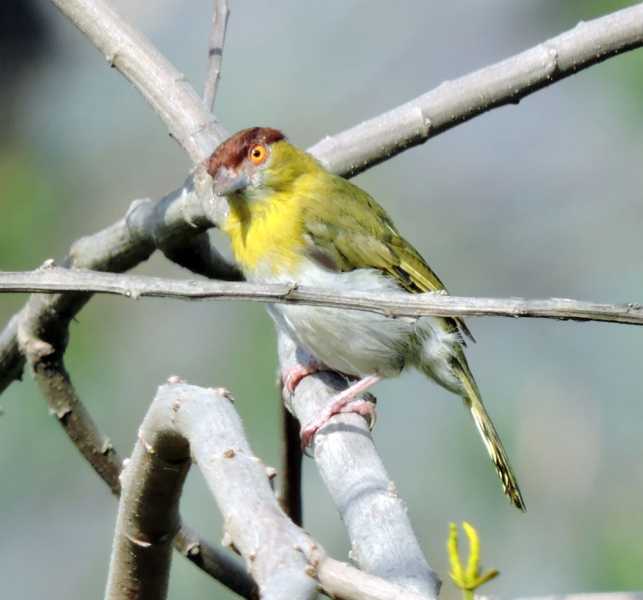 Перу, в натуре! Крайний север, декабрь 2025 – январь 2026