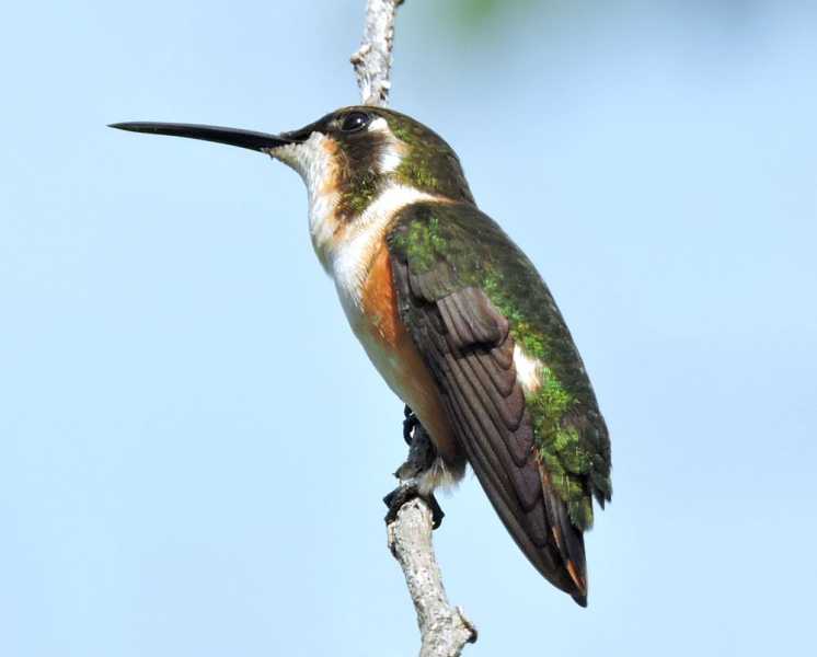 Перу, в натуре! Крайний север, декабрь 2025 – январь 2026