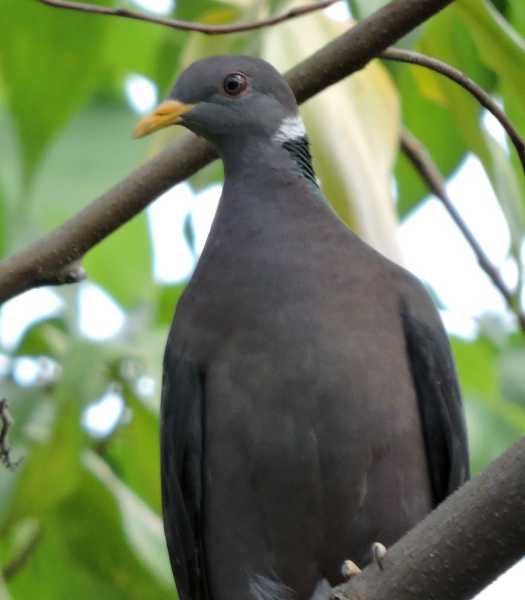 Перу, в натуре! Крайний север, декабрь 2025 – январь 2026