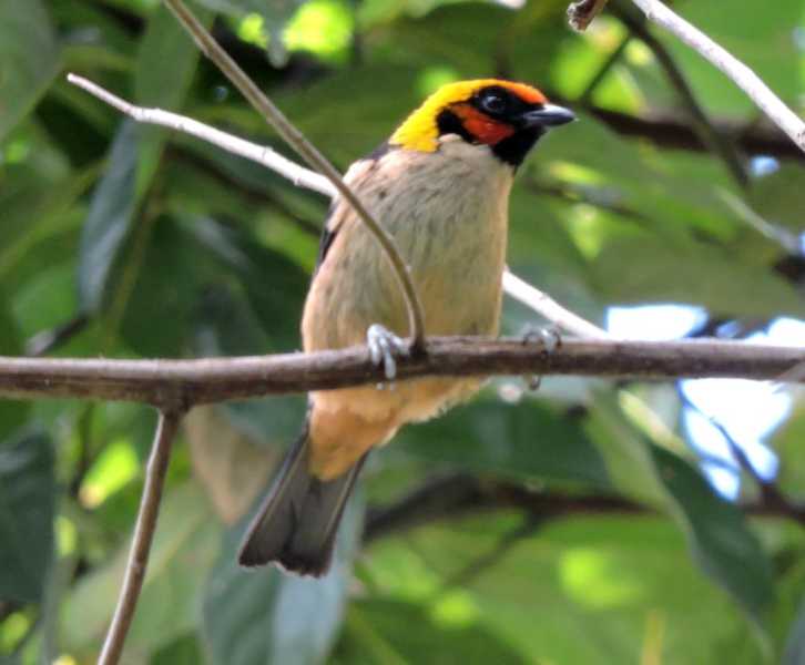 Перу, в натуре! Крайний север, декабрь 2025 – январь 2026