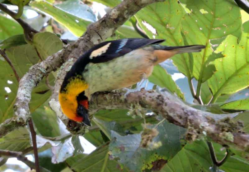 Перу, в натуре! Крайний север, декабрь 2025 – январь 2026