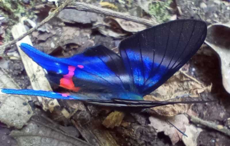 Перу, в натуре! Крайний север, декабрь 2025 – январь 2026