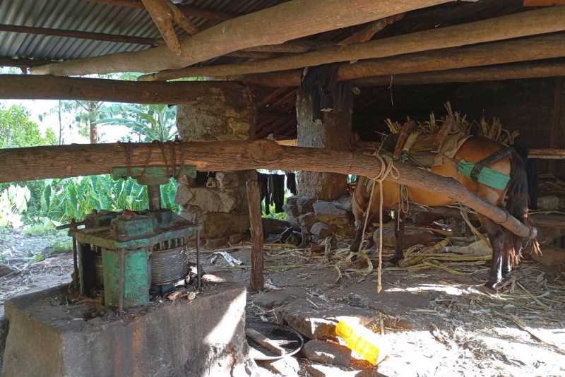 Перу, в натуре! Крайний север, декабрь 2025 – январь 2026