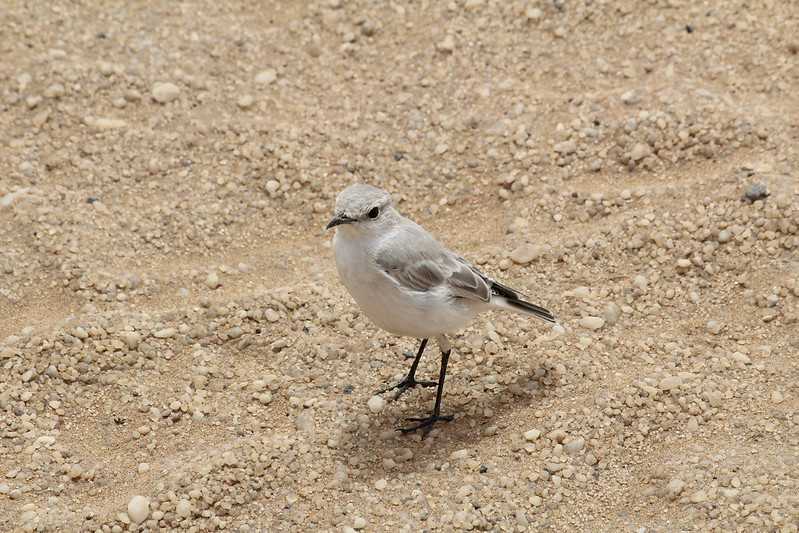 Южно-африканские приключения часть 2 20000 км (Намибия, Ботсвана, Замбия, Малави, Мозамбик) октябрь-декабрь 2025