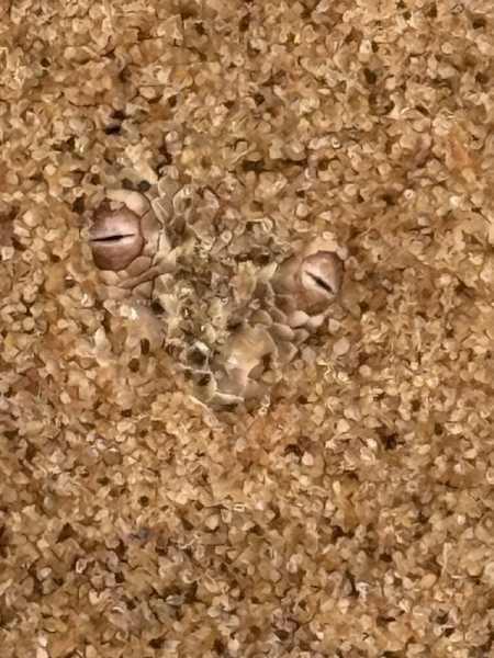 Южно-африканские приключения часть 2 20000 км (Намибия, Ботсвана, Замбия, Малави, Мозамбик) октябрь-декабрь 2025