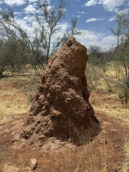 Южно-африканские приключения часть 2 20000 км (Намибия, Ботсвана, Замбия, Малави, Мозамбик) октябрь-декабрь 2025