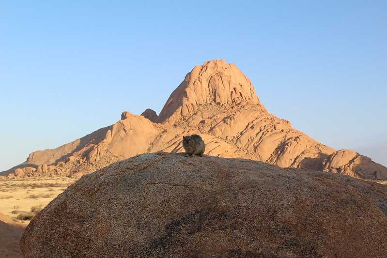 Южно-африканские приключения часть 2 20000 км (Намибия, Ботсвана, Замбия, Малави, Мозамбик) октябрь-декабрь 2025