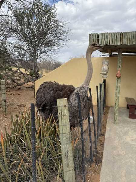 Южно-африканские приключения часть 2 20000 км (Намибия, Ботсвана, Замбия, Малави, Мозамбик) октябрь-декабрь 2025