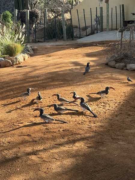 Южно-африканские приключения часть 2 20000 км (Намибия, Ботсвана, Замбия, Малави, Мозамбик) октябрь-декабрь 2025