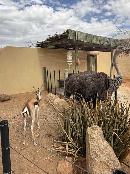 Южно-африканские приключения часть 2 20000 км (Намибия, Ботсвана, Замбия, Малави, Мозамбик) октябрь-декабрь 2025