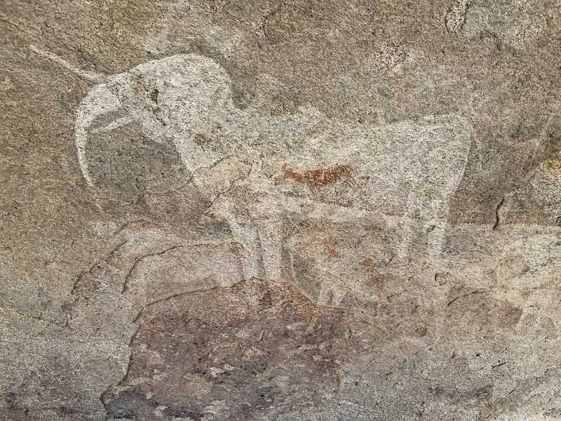 Южно-африканские приключения часть 2 20000 км (Намибия, Ботсвана, Замбия, Малави, Мозамбик) октябрь-декабрь 2025