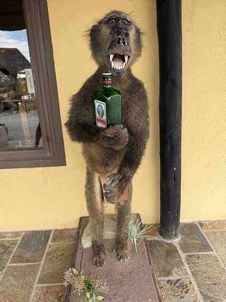 Южно-африканские приключения часть 2 20000 км (Намибия, Ботсвана, Замбия, Малави, Мозамбик) октябрь-декабрь 2025