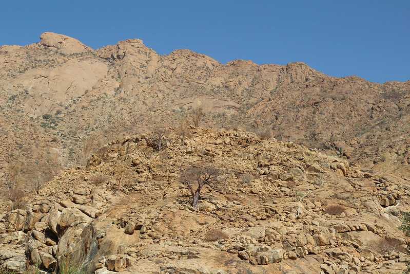 Южно-африканские приключения часть 2 20000 км (Намибия, Ботсвана, Замбия, Малави, Мозамбик) октябрь-декабрь 2025