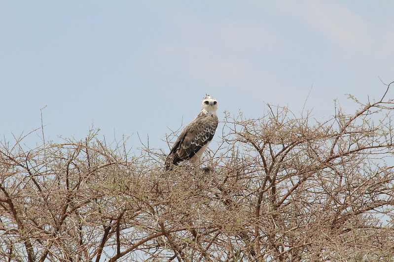 Южно-африканские приключения часть 2 20000 км (Намибия, Ботсвана, Замбия, Малави, Мозамбик) октябрь-декабрь 2025