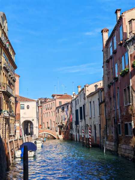 Декабрьская Венеция и новогодний подарок всем читателям прямо из сердца лагуны