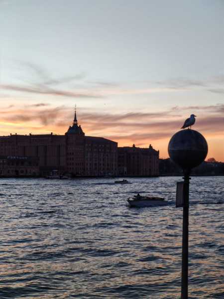 Декабрьская Венеция и новогодний подарок всем читателям прямо из сердца лагуны