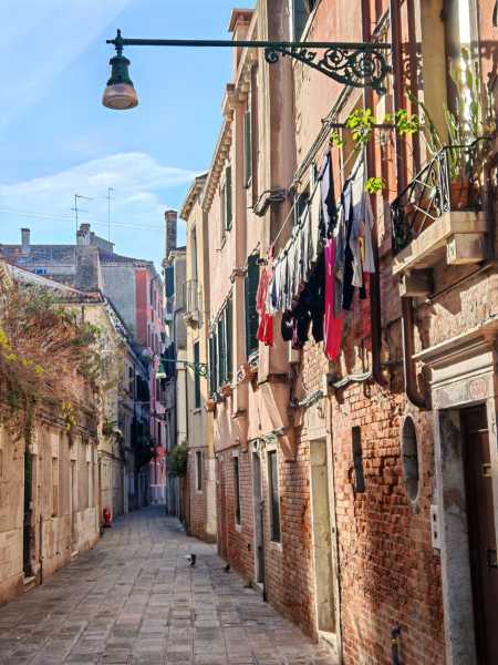 Декабрьская Венеция и новогодний подарок всем читателям прямо из сердца лагуны