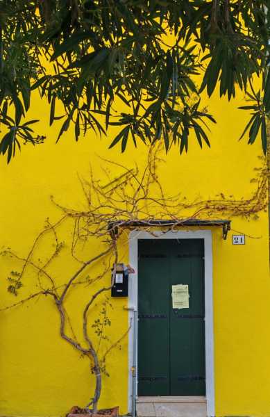 Декабрьская Венеция и новогодний подарок всем читателям прямо из сердца лагуны