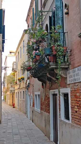 Декабрьская Венеция и новогодний подарок всем читателям прямо из сердца лагуны