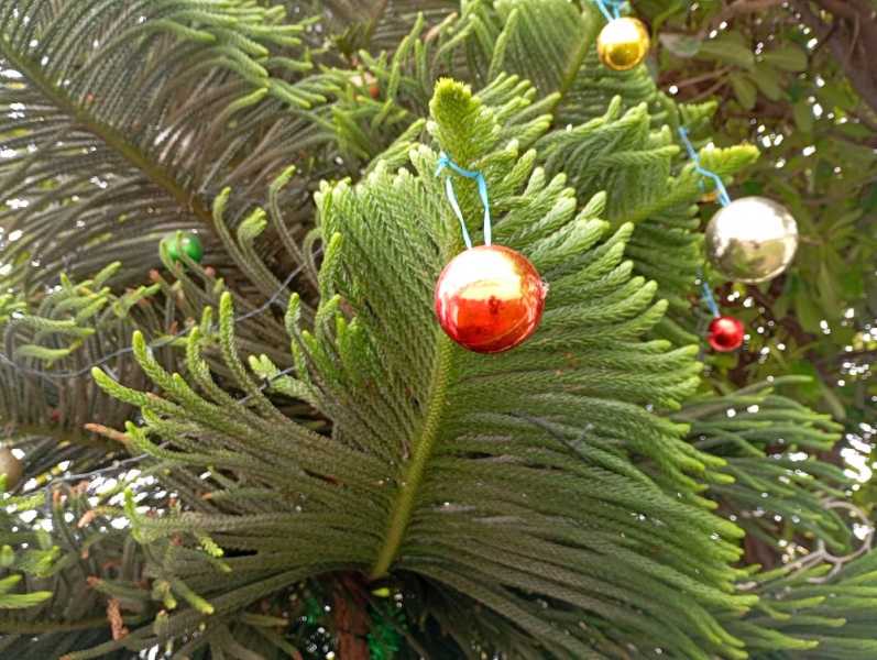 Перу, в натуре! Крайний север, декабрь 2025 – январь 2026