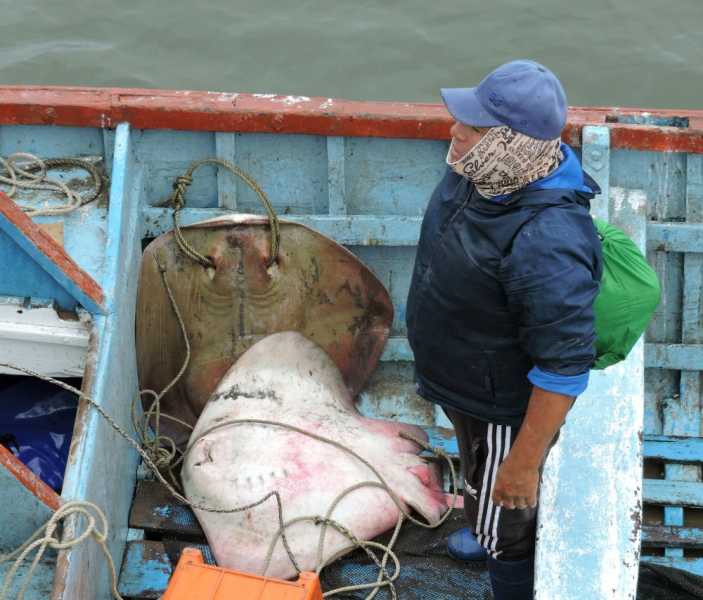 Перу, в натуре! Крайний север, декабрь 2025 – январь 2026