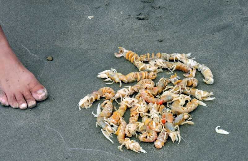 Перу, в натуре! Крайний север, декабрь 2025 – январь 2026