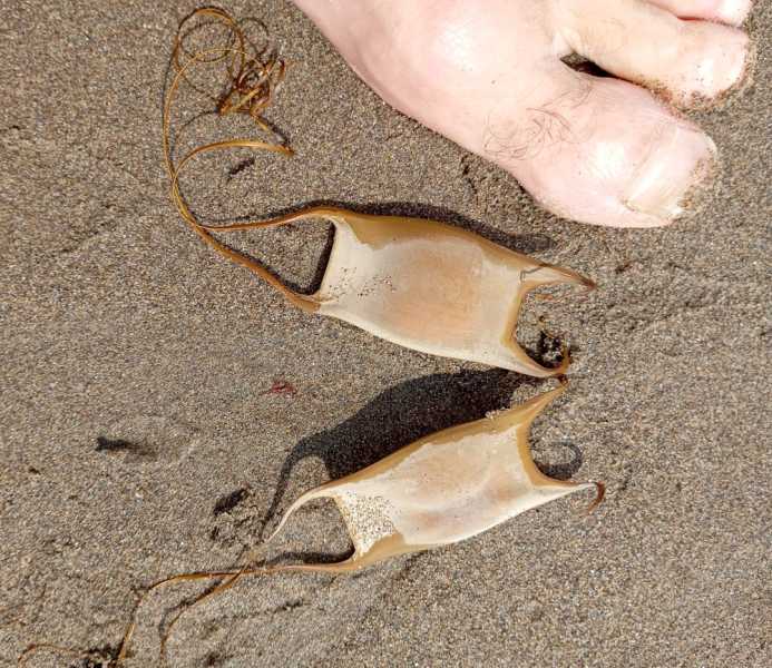 Перу, в натуре! Крайний север, декабрь 2025 – январь 2026