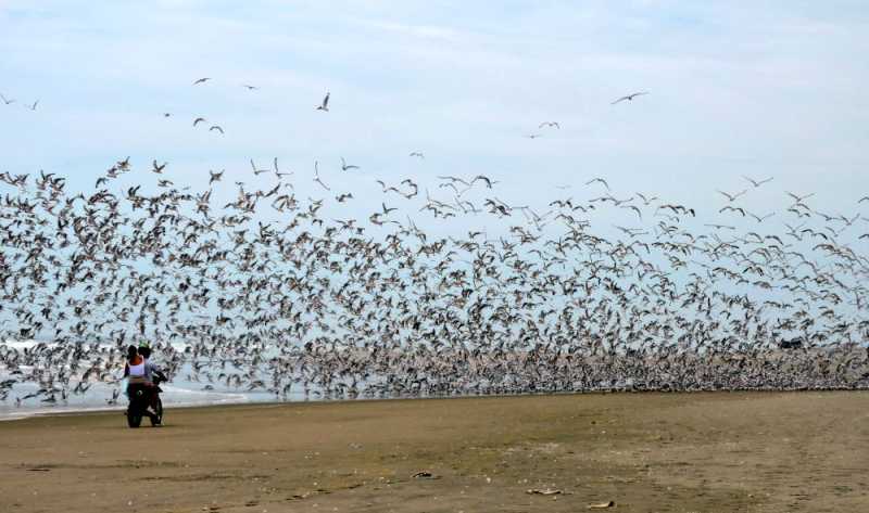Перу, в натуре! Крайний север, декабрь 2025 – январь 2026