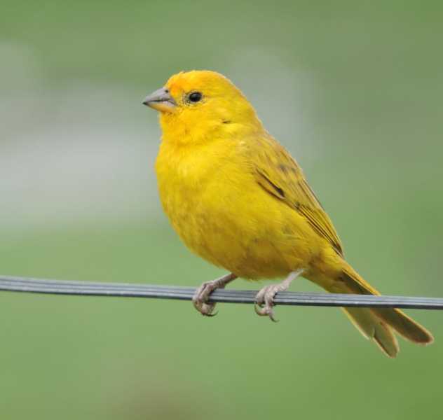 Перу, в натуре! Крайний север, декабрь 2025 – январь 2026