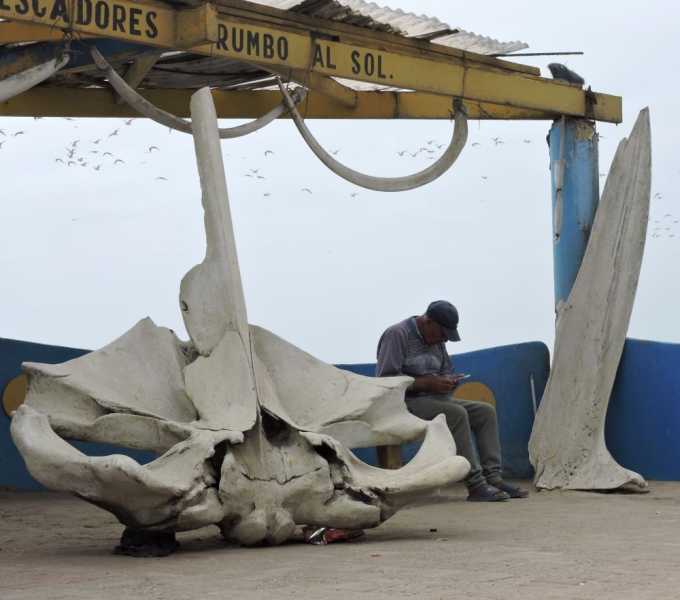 Перу, в натуре! Крайний север, декабрь 2025 – январь 2026