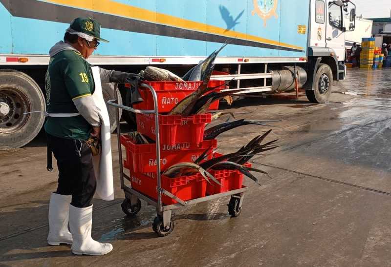 Перу, в натуре! Крайний север, декабрь 2025 – январь 2026