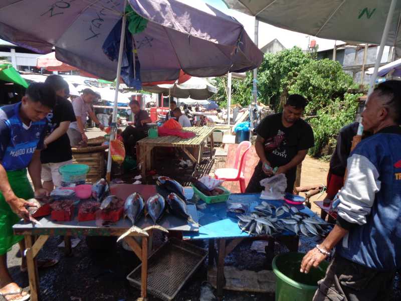 Восточная Индонезия (Молукки – Сулавеси – Флорес)