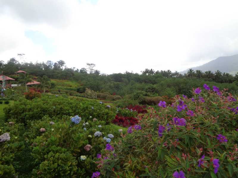 Восточная Индонезия (Молукки – Сулавеси – Флорес)